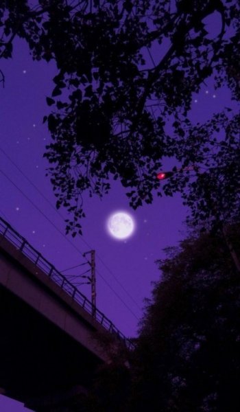  عکس آسمان شب با کیفیت بالا