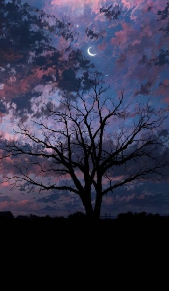  عکس آسمان شب با کیفیت بالا