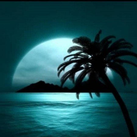  عکس آسمان شب با کیفیت بالا