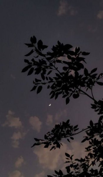  عکس آسمان شب با کیفیت بالا