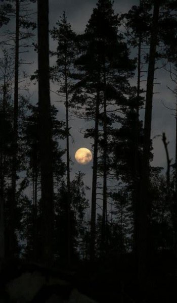  عکس آسمان شب با کیفیت بالا