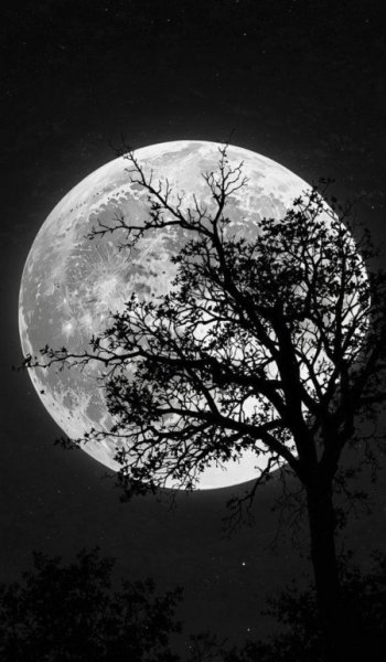  عکس آسمان شب زیبا