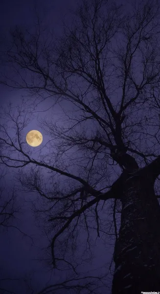 عکس ستاره واقعی در فضا