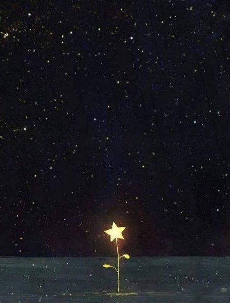  عکس ستاره برای پروفایل گروه