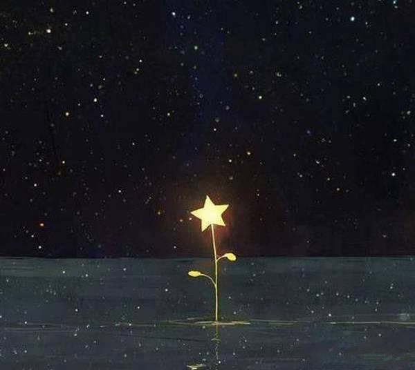  عکس ستاره برای پروفایل گروه