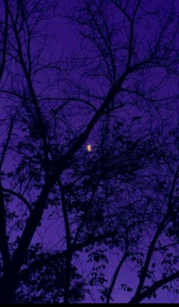  عکس اسمان شب پر ستاره