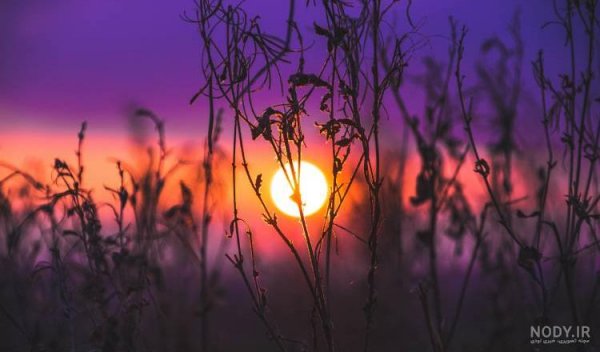  عکس آسمان صورتی و بنفش