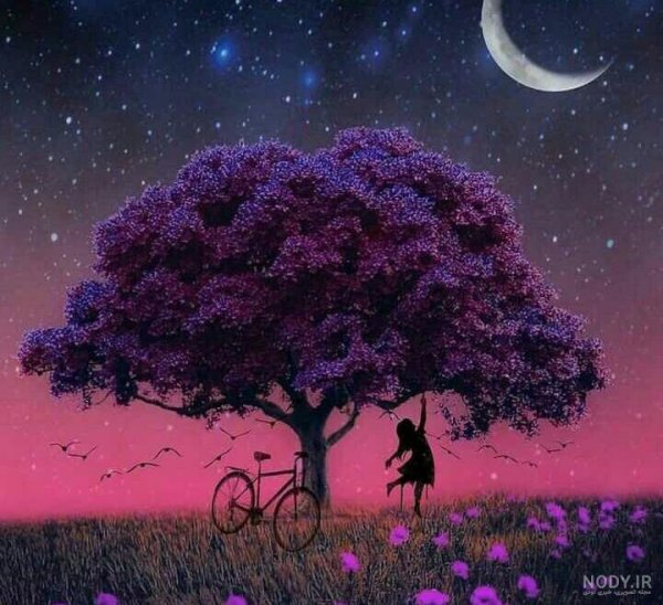  عکس آسمان صورتی و بنفش