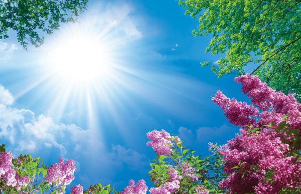 آسمان مجازی آشپزخانه جدید