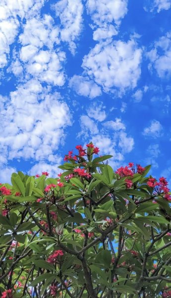  عکس آسمان آبی برای پروفایل