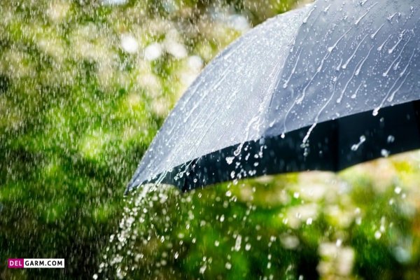  عکس باران برای پروفایل