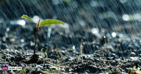  عکس باران برای پروفایل