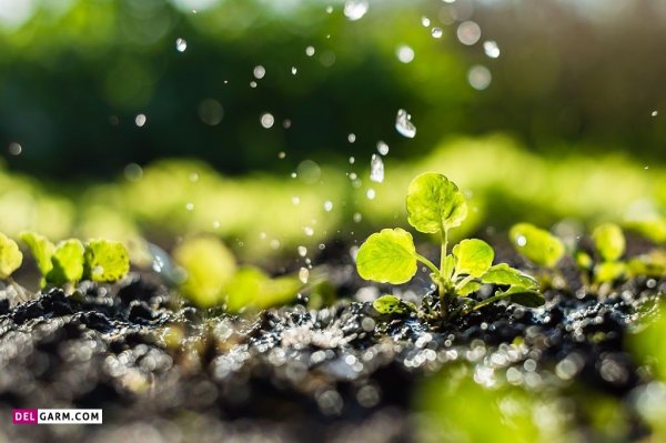  عکس باران برای پروفایل