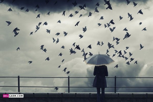  عکس باران برای پروفایل