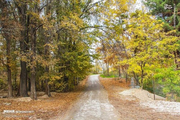  عکس اسمان پاییز