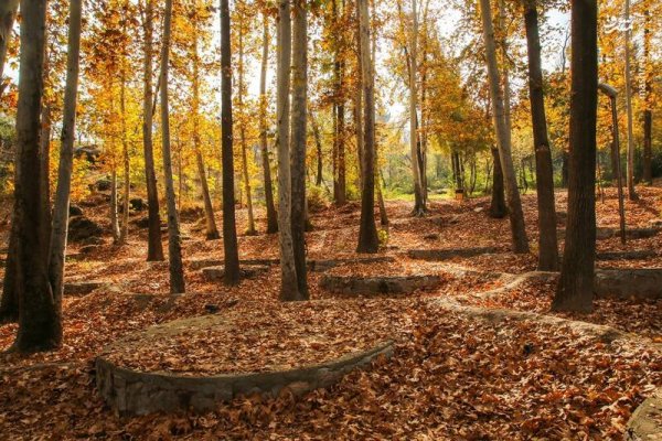  عکس اسمان پاییز