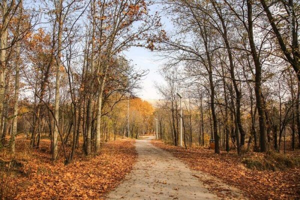  عکس اسمان پاییز