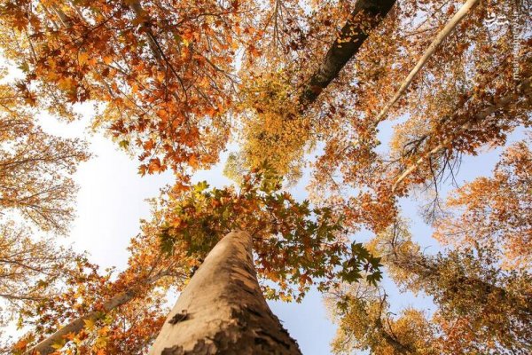  عکس اسمان پاییز