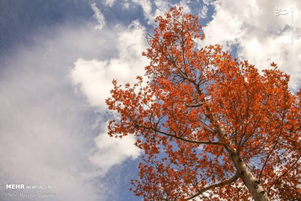  عکس اسمان پاییز