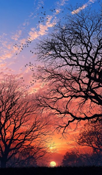  100 عکس آسمان پاک