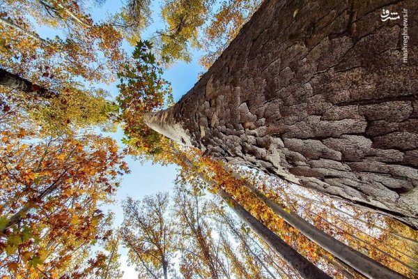 عکس آسمان پاییزی