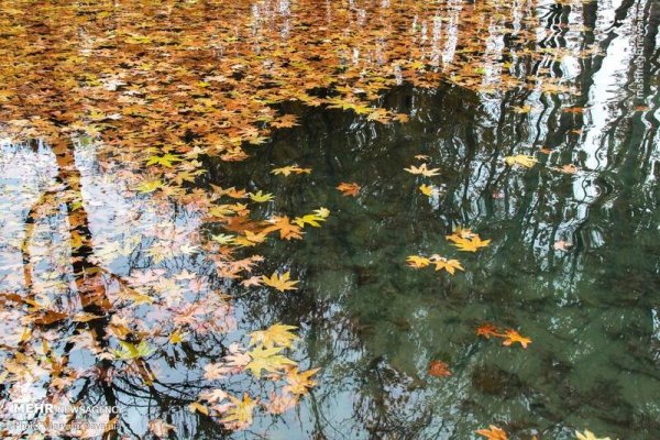  عکس آسمان پاییزی