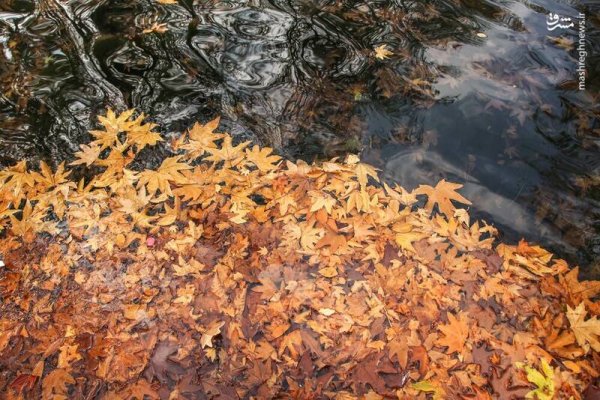  عکس آسمان پاییزی