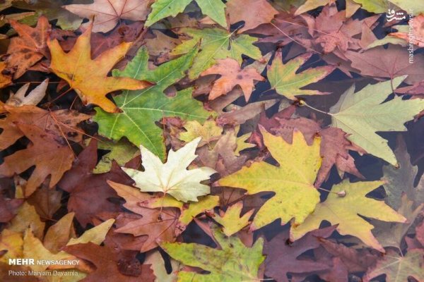  عکس آسمان پاییزی