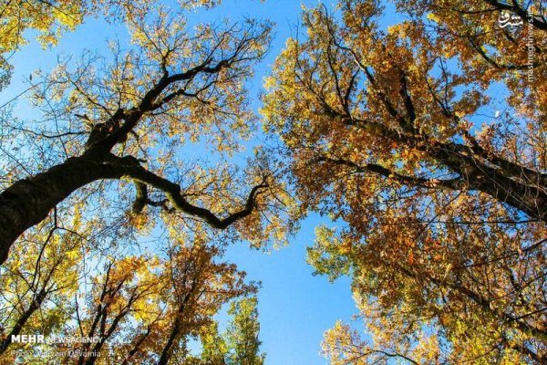  عکس آسمان پاییزی