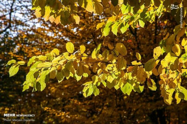  عکس آسمان پاییزی