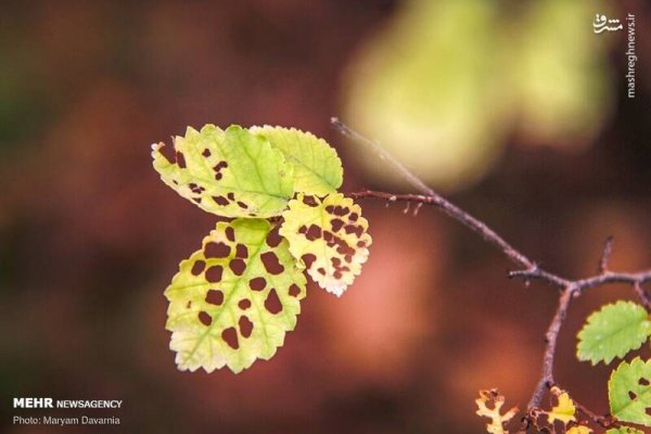  عکس آسمان پاییزی