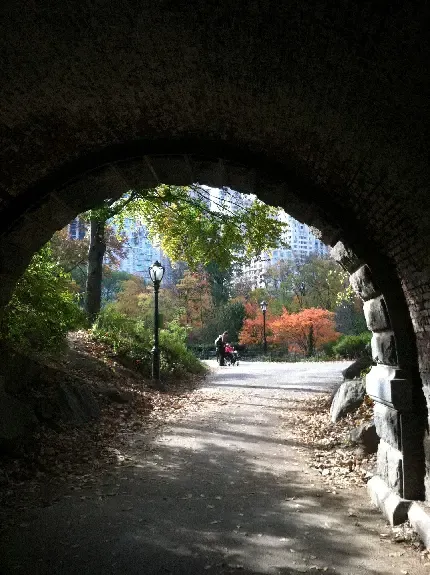  عکس آسمان پرستاره کویر