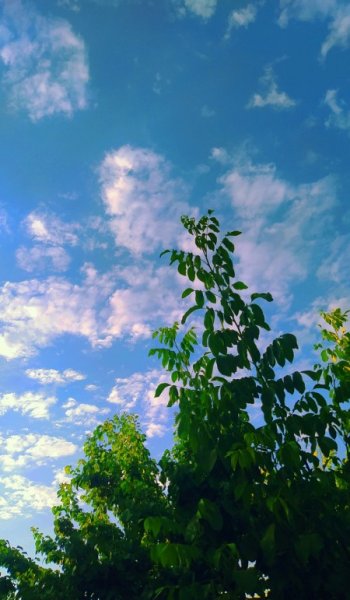  عکس پرف اسمان