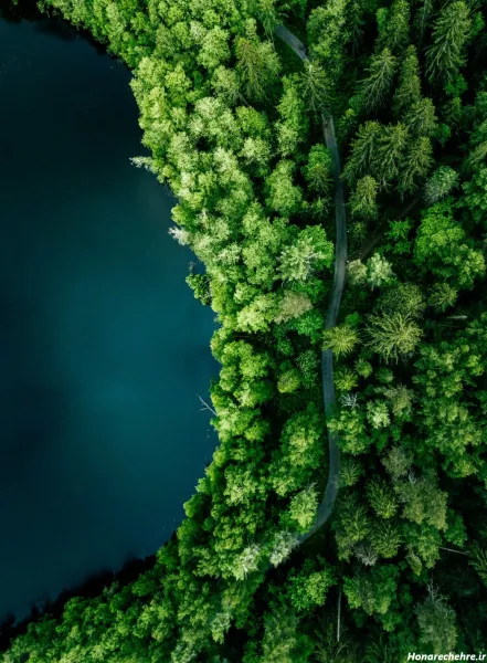  عکس آسمان و جنگل