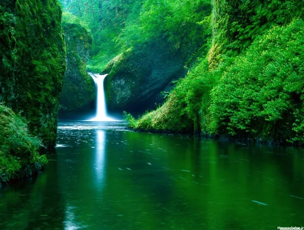  عکس آسمان و جنگل