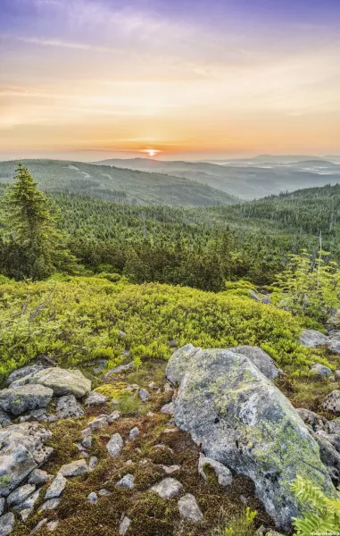  عکس آسمان و جنگل