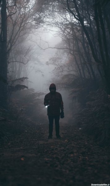 عکس پروفایل جنگل تاریک