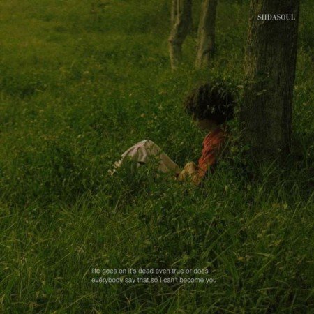  عکس پروفایل جنگل دخترانه