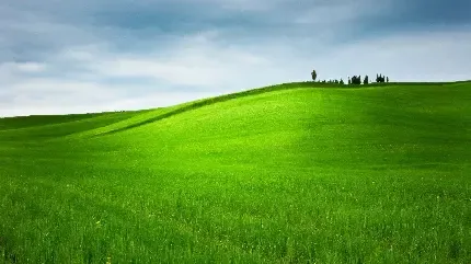 عکس اسمان و چمن