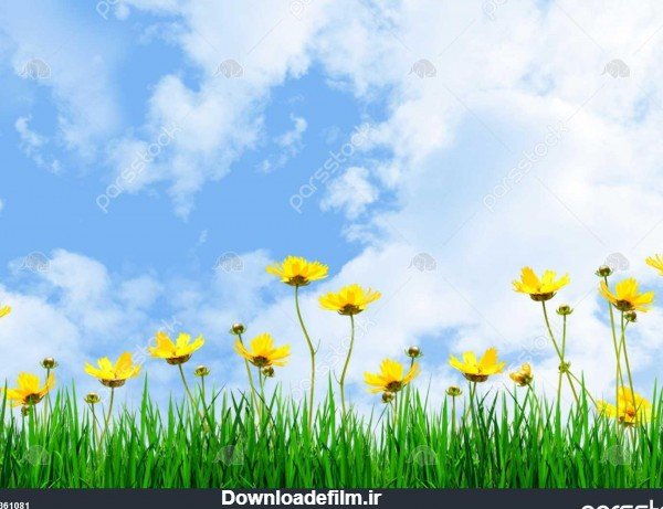  عکس چمن و گل طبیعی