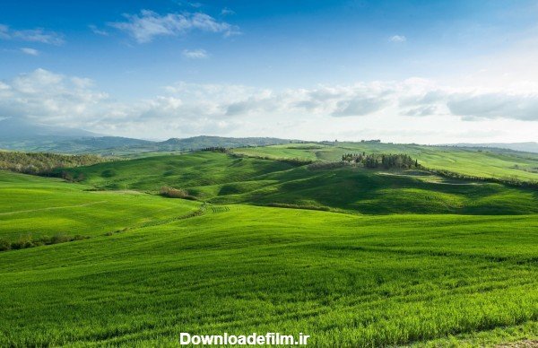  عکس چمن و گل طبیعی