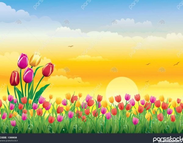  عکس چمن و گل طبیعی