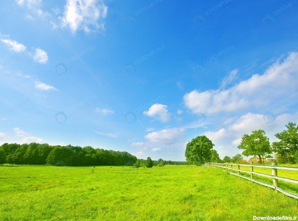  عکس چمن و گل طبیعی