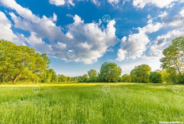  عکس چمن و گل طبیعی