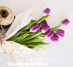  عکس چمن و گل طبیعی