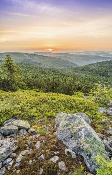 عکس چمن طبیعی فوتبال