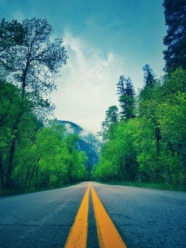 عکس چمن طبیعی فوتبال