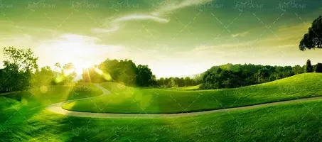  عکس چمن و درخت