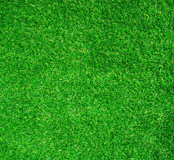  عکس زمین فوتبال با بازیکنان