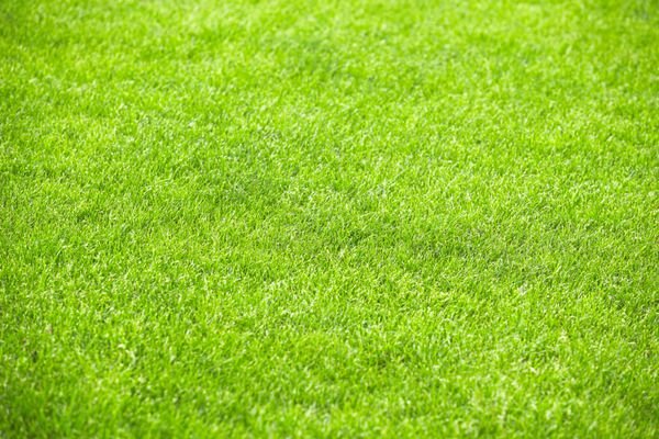  عکس زمین فوتبال با بازیکنان